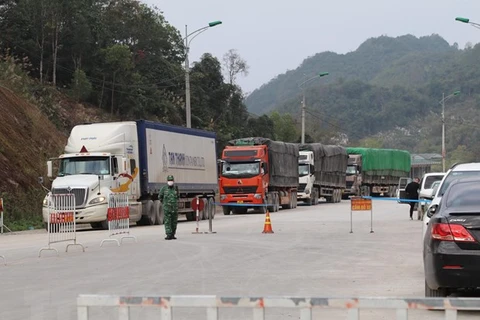 Xe nông sản chờ thông quan qua đường chuyên dụng vận tải hàng hóa cửa khẩu Tân Thanh-Pò Chài. (Ảnh: Quang Duy/TTXVN) 