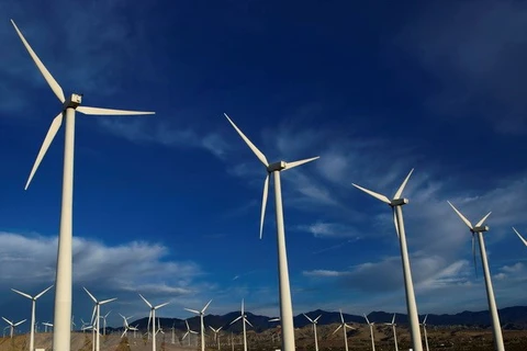 Các tuabin gió tại nhà máy điện gió ở Palm Springs, bang California. (Nguồn: THX/TTXVN)