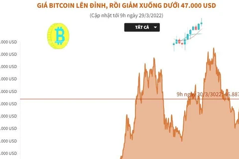 [Infographics] Giá Bitcoin lên đỉnh rồi giảm xuống dưới 47.000 USD