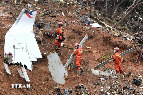 Mảnh vỡ máy bay Boeing 737 số hiệu 5735 của hãng hàng không China Eastern Airlines. (Ảnh: THX/TTXVN)