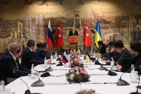 Phái đoàn Nga và Ukraine tiến hành đàm phán tại Thổ Nhĩ Kỳ. (Ảnh: THX/TTXVN)