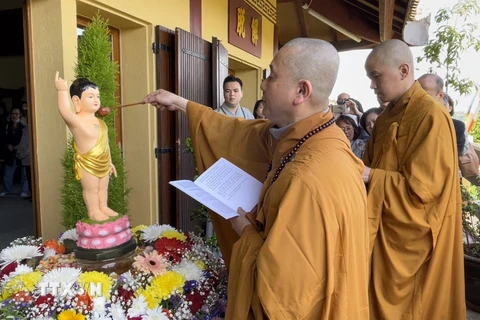 Thượng Tọa Thích Tâm Huy, Trụ trì Trúc Lâm Thiền viện thực hiện nghi lễ tắm Phật. (Ảnh: Thu Hà/TTXVN)