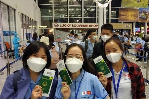 Các ứng viên điều dưỡng, hộ lý Việt Nam lên đường sang Nhật Bản làm việc. Ảnh minh họa. (Ảnh: PV/Vietnam+)