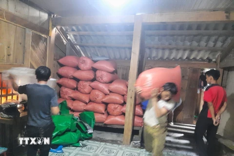 Lực lượng chức năng xã Mường Lý (huyện Mường Lát) khẩn trương sơ tán tài sản người dân đến nơi an toàn. (Ảnh: TTXVN phát)