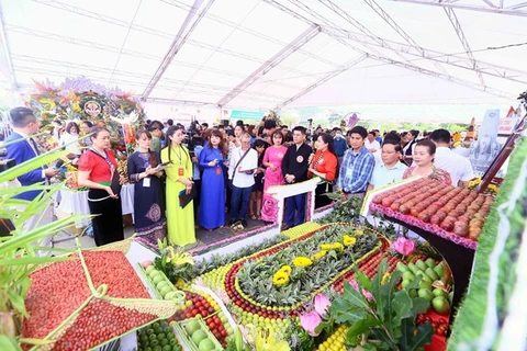 Hội thi tạo hình nghệ thuật từ trái cây tại Festival trái cây và sản phẩm OCOP Việt Nam 2022. (Ảnh: Quang Quyết/TTXVN) 