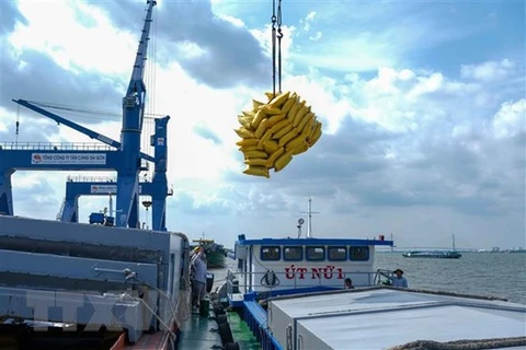 Bốc dỡ hàng hóa tại cảng Tân Cảng Cái Cui, thành phố Cần Thơ. (Ảnh: Thanh Liêm/TTXVN) 