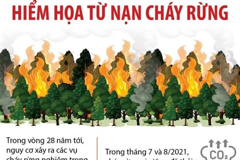 [Infographics] Hiểm họa từ nạn cháy rừng trên khắp thế giới