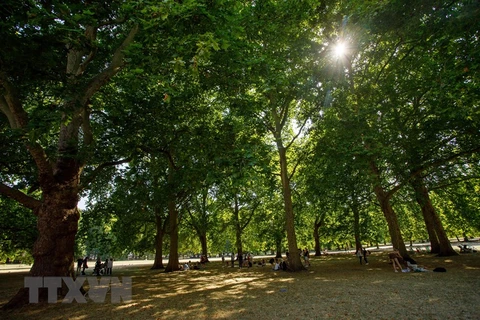 Người dân tránh nắng nóng tại một công viên. Ảnh minh họa. (Nguồn: THX/TTXVN)