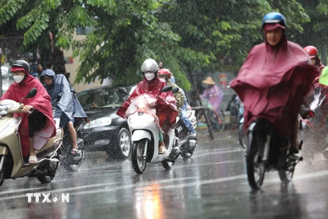 Sáng 11/8, Hà Nội có mưa to do ảnh hưởng của bão số 2. (Ảnh: Thanh Tùng/TTXVN) 