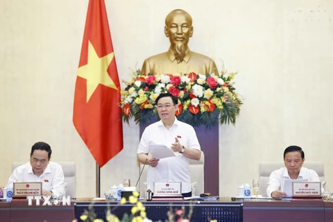 Chủ tịch Quốc hội Vương Đình Huệ phát biểu khai mạc phiên họp. (Ảnh: Doãn Tấn/TTXVN) 