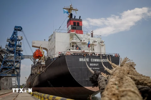 Chất ngũ cốc lên tàu Brave Commander tại cảng Pivdennyi, gần Odessa, Ukraine ngày 14/8/2022. (Nguồn: AFP/TTXVN)