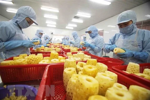 Chế biến sản phẩm dứa đóng hộp tại nhà máy của Công ty cổ phần xuất nhập khẩu nông sản An Giang. (Ảnh: Vũ Sinh/TTXVN)