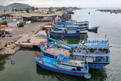 Tàu đánh bắt xa bờ neo đậu tại cảng cá Ninh Chữ, huyện Ninh Hải, tỉnh Ninh Thuận. (Ảnh: Nguyễn Thành/TTXVN) 