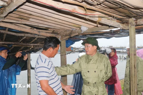 Chủ tịch UBND tỉnh Phạm Anh Tuấn thăm hỏi người dân nuôi trồng thuỷ sản ở huyện Phù Mỹ. (Ảnh: Sỹ Thắng/TTXVN)