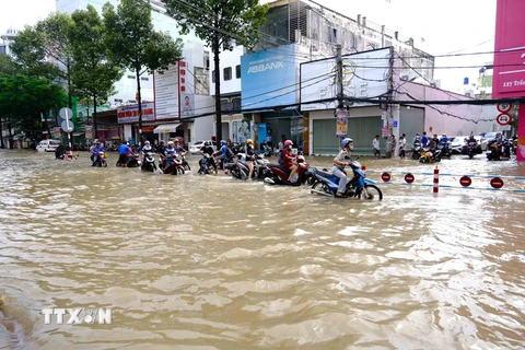 Triều cường dâng cao đã làm ngập nhiều tuyến đường ở khu vực trung tâm thành phố, ảnh hưởng đến giao thông cũng như sinh hoạt của người dân. (Ảnh: Thanh Liêm/TTXVN) 