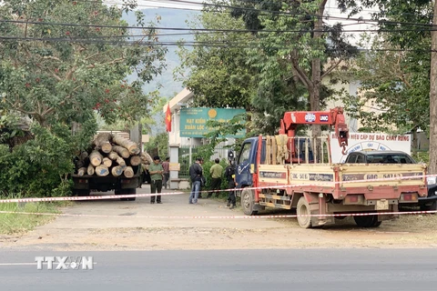 Đồng Nai: Khởi tố vụ án hình sự về hành vi chặt phá rừng phòng hộ