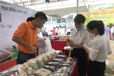 Sở Công Thương Hà Nội kết nối nông sản, thực phẩm an toàn cho các chợ trên địa bàn thành phố. (Ảnh: PV/Vietnam+) 