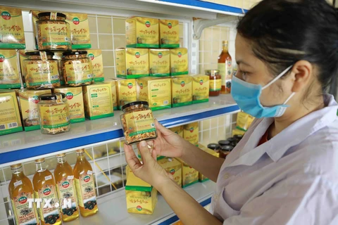 Sản phẩm đông trùng hạ thảo của Trung tâm hỗ trợ nông nghiệp VAC ở phường Lam Sơn, thành phố Thanh Hóa. (Ảnh: Vũ Sinh/TTXVN)