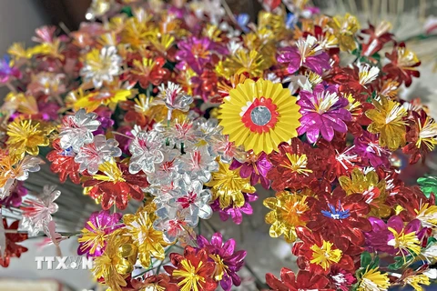 Các sắc hoa giấy Thanh Tiên tươi mới, báo hiệu một mùa xuân sung túc, ấm no đang đến. (Ảnh: Mai Trang/TTXVN) 