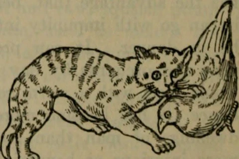 Mèo là loài cứu tinh cho nền nông nghiệp cổ đại và quan trọng hơn hết là cứu tinh của loài người (Ảnh: Internet Archive Book Images/Wikimedia Commons).