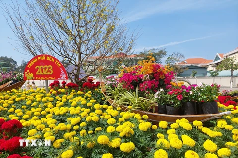 Các cụm tiểu cảnh tại công viên Bến Tre được trang trí rực rỡ sắc hoa tạo thành điểm hẹn du xuân cho mọi người dân. (Ảnh: Chương Đài/TTXVN)