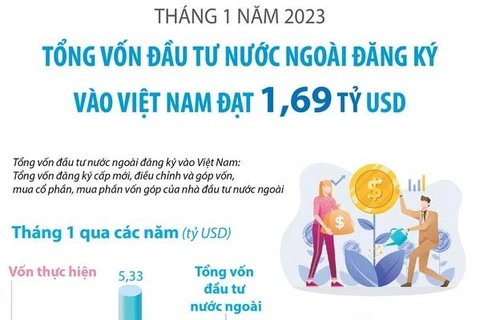 Tổng vốn FDI đăng ký vào Việt Nam trong tháng 1 đạt 1,69 tỷ USD
