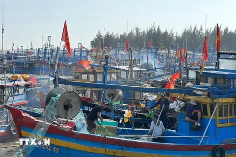 Tàu lưới rập của ngư dân xã Bình Châu, huyện Xuyên Mộc chuẩn bị cho chuyến ra khơi đánh bắt đầu năm. (Ảnh: Hoàng Nhị/TTXVN) 