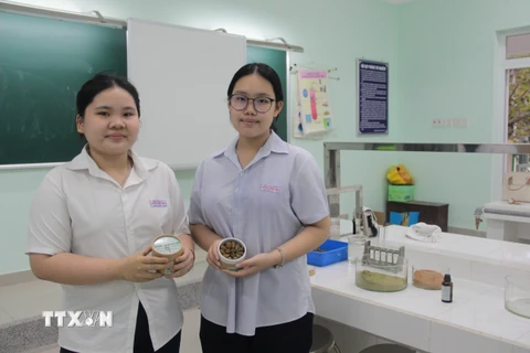 Hai em học sinh Nguyễn Hoàng Nhật Linh và Kiều Khánh An (bên trái) trong phòng thí nghiệm và sản phẩm nụ hương tinh dầu bạch đàn tự nhiên, có hiệu quả cao trong việc đuổi muỗi, phòng chống sốt xuất huyết. (Ảnh: Phan Sáu/TTXVN)