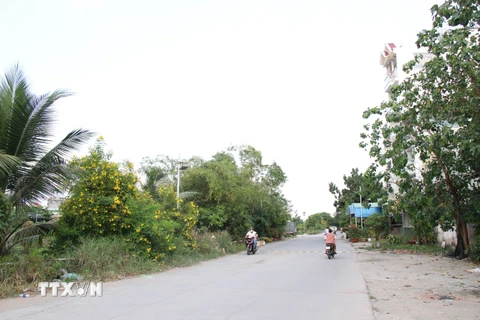 Một số đoạn dọc kênh Tham Lương đã hình thành đường bêtông khá rộng. (Ảnh: Tiến Lực/TTXVN)