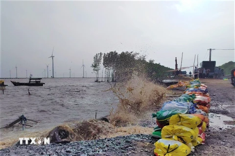 Sự cố sạt lở đê biển Đông chưa gây thiệt hại về người và tài sản nhưng gây mất an toàn giao thông, ảnh hưởng đến đời sống, an toàn tính mạng của người dân trong thời gian tới. (Ảnh: Chanh Đa/TTXVN)