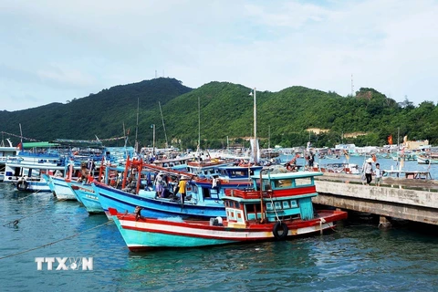 Tàu cá neo đậu tại cảng cá xã An Sơn, huyện đảo Kiên Hải. (Ảnh: Hồng Đạt/TTXVN)