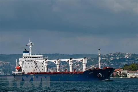 Tàu chở ngũ cốc di chuyển dọc Eo biển Bosphorus ở Istanbul, Thổ Nhĩ Kỳ, ngày 3/8/2022. (Nguồn: AFP/TTXVN)