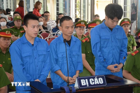Ba bị cáo hành hung nhân viên gác chắn tàu gây phẫn nộ dư luận ở Đà Nẵng tại phiên tòa. (Ảnh: Văn Dũng/TTXVN)
