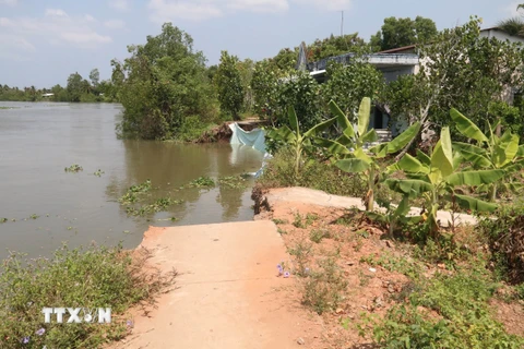 Hiện trạng sạt lở bờ sông Trà Lọt, tỉnh Tiền Giang. (Ảnh: Minh Trí/TTXVN)