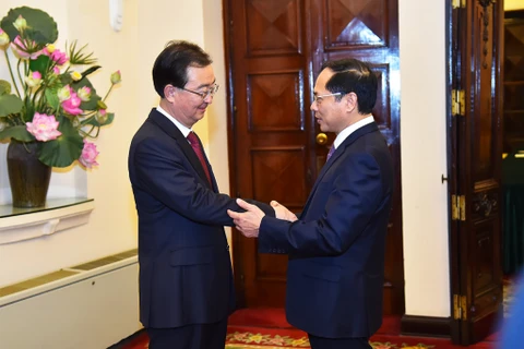 Bộ trưởng Ngoại giao Bùi Thanh Sơn tiếp Bí thư Tỉnh ủy Vân Nam Vương Ninh. (Nguồn: Báo Quốc tế) 