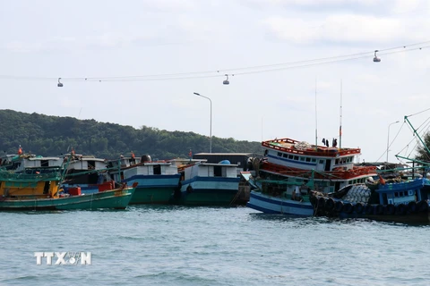 Tàu cá neo đậu trên vùng biển đảo Phú Quốc, tỉnh Kiên Giang. (Ảnh: Lê Huy Hải/TTXVN)
