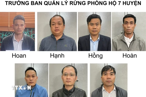 Trưởng Ban Quản lý rừng phòng hộ 7 huyện của tỉnh Lai Châu bị tạm giữ hình sự. (Ảnh: TTXVN phát)