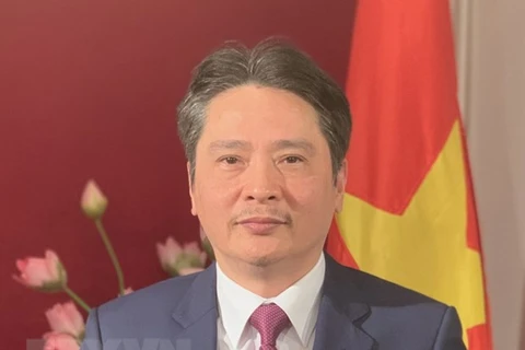 Đại sứ Đặc mệnh toàn quyền Việt Nam tại Algeria Nguyễn Thành Vinh. (Ảnh: Tấn Đạt/TTXVN) 