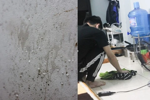 Hiện tượng nồm ẩm khiến tường, sản nhà đổ mồ hôi xảy ra phổ biến tại Hà Nội. (Ảnh: Ngọc Tân/Vietnam+) 
