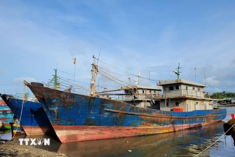 Tàu cá đóng theo Nghị định 67 của ngư dân xã Phước Hưng, huyện Long Điền, tỉnh Bà Rịa-Vũng Tàu hoạt động không hiệu quả phải nằm bờ. (Ảnh: Hoàng Nhị/TTXVN)