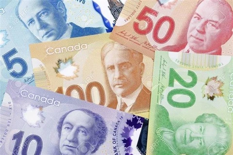Đồng đôla Canada. (Nguồn: 123rf/TTXVN) 