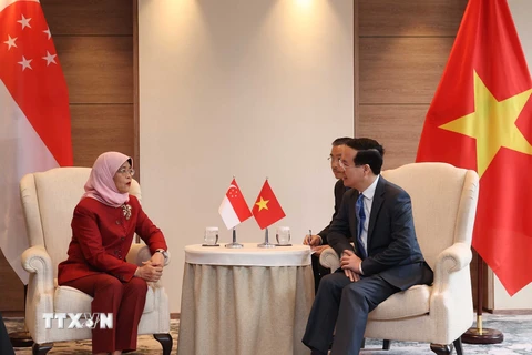 Chủ tịch nước Võ Văn Thưởng gặp Tổng thống Singapore Halimah Yacob. (Ảnh: Thống Nhất/TTXVN) 