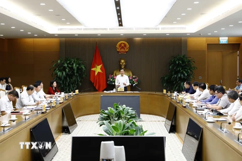 Phó Thủ tướng Lê Minh Khái chủ trì họp về tình hình hoạt động, công tác cơ cấu lại Tập đoàn Điện lực Việt Nam. (Ảnh: An Đăng/TTXVN)