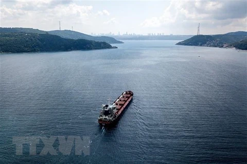 Tàu chở ngũ cốc di chuyển dọc Eo biển Bosphorus ngày 3/8/2022. (Ảnh: AFP/TTXVN) 
