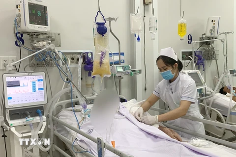 Nhân viên y tế Bệnh viện Chợ Rẫy chăm sóc, tích cực cho bệnh nhân ngộ độc Botulinum. (Ảnh: TTXVN phát)