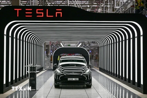 Mẫu xe điện Model Y Gigafactory của Tesla trưng bày tại Gruenheide, đông nam Berlin, Đức. (Nguồn: AFP/TTXVN)