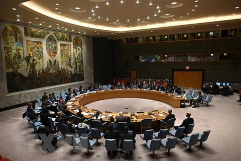 Toàn cảnh một cuộc họp Hội đồng Bảo an Liên hợp quốc tại New York, Mỹ. (Ảnh: AFP/TTXVN) 