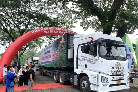 20 container với 360 tấn sầu riêng gồm giống Dona, Ri6 của tỉnh Đồng Nai được xuất khẩu sang thị trường Trung Quốc. (Ảnh: TTXVN phát)