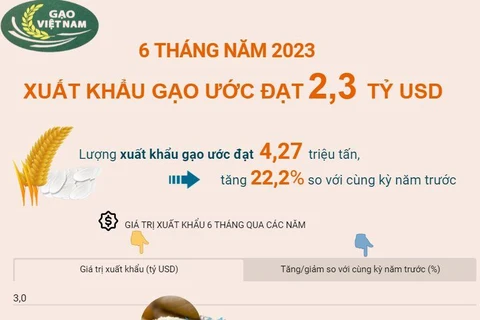 [Infographics] Xuất khẩu gạo ước đạt 2,3 tỷ USD trong 6 tháng năm 2023