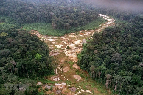 Khoảng rừng Amazon bị chặt phá tại Brazil. (Ảnh: AFP/TTXVN) 